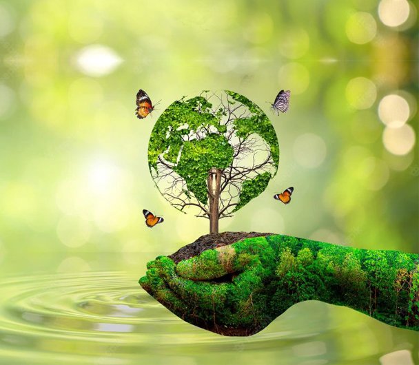 Sustainability Image